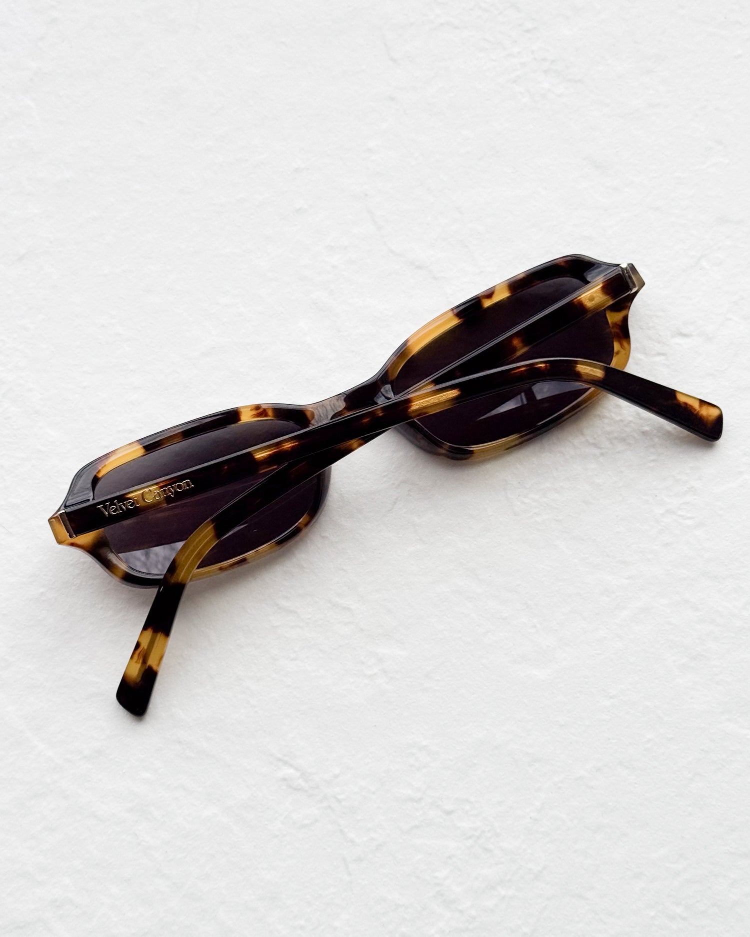 THE DREAMERS in Eco Tort