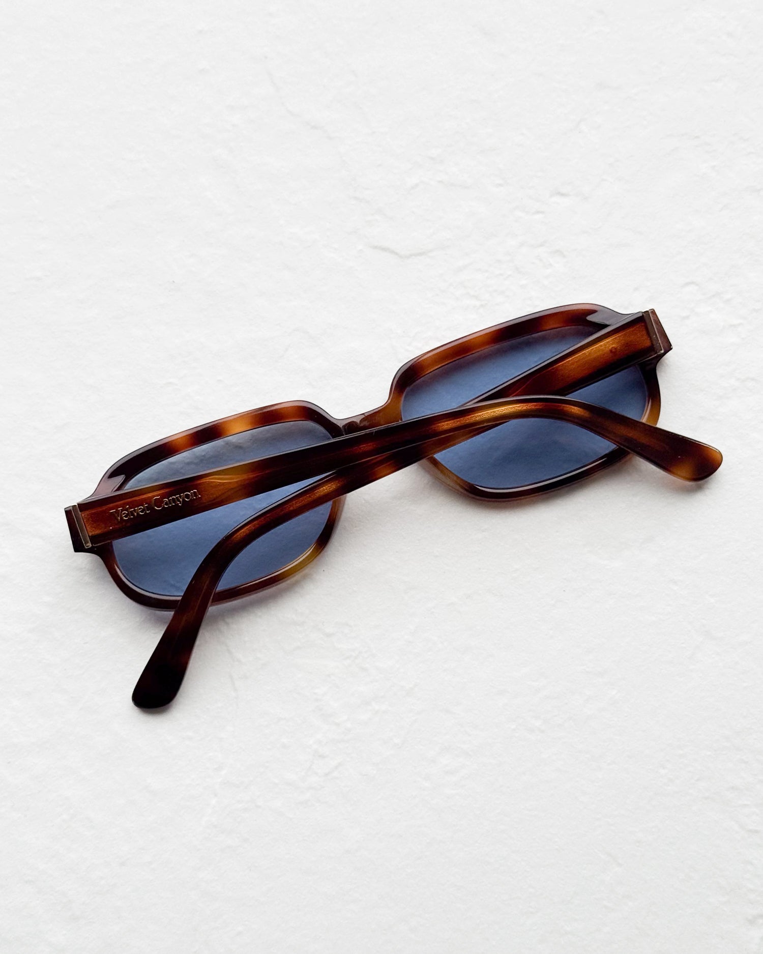 FORTUNE FAVORED in Havana Foncé & Blue