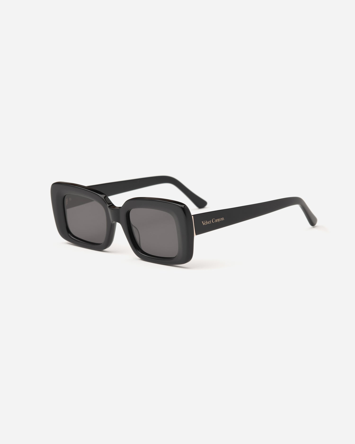 LIKE NEW Velvet Canyon Golden Era Sunnies in Black Velvet Canyon // Golden Era Sunglasses – VSP Consignment main image 4